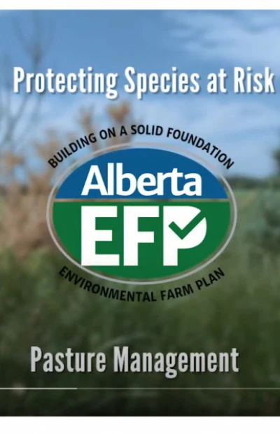 Pasture Management